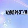 短期外汇借款（关于短期外汇借款介绍）