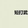 短打武生（关于短打武生介绍）