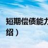 短期偿债能力指标（关于短期偿债能力指标介绍）