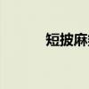 短披麻皴（关于短披麻皴介绍）