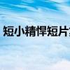 短小精悍短片集（关于短小精悍短片集介绍）