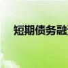 短期债务融资（关于短期债务融资介绍）