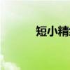 短小精练（关于短小精练介绍）