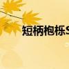 短柄枹栎SY（关于短柄枹栎SY介绍）