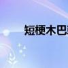 短梗木巴戟（关于短梗木巴戟介绍）