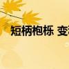 短柄枹栎 变种（关于短柄枹栎 变种介绍）