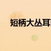 短柄大丛耳菌（关于短柄大丛耳菌介绍）