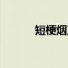 短梗烟堇（关于短梗烟堇介绍）