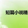 短篇小说精选（关于短篇小说精选介绍）