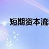 短期资本流动（关于短期资本流动介绍）