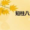 短柱八角（关于短柱八角介绍）