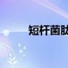 短杆菌肽S（关于短杆菌肽S介绍）