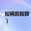 短柄剪股颖 变种（关于短柄剪股颖 变种介绍）