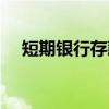 短期银行存款（关于短期银行存款介绍）