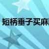 短柄垂子买麻藤（关于短柄垂子买麻藤介绍）