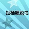 短梗墨脱乌头（关于短梗墨脱乌头介绍）