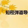 短程弹道导弹（关于短程弹道导弹介绍）
