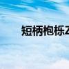 短柄枹栎ZC（关于短柄枹栎ZC介绍）
