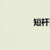 短杆菌（关于短杆菌介绍）