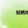 短柄斧2（关于短柄斧2介绍）