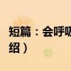 短篇：会呼吸的痛（关于短篇：会呼吸的痛介绍）