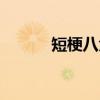 短梗八角（关于短梗八角介绍）