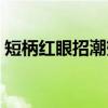 短柄红眼招潮蟹（关于短柄红眼招潮蟹介绍）
