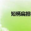 短柄扁担杆(关于短柄扁担杆介绍) 短柄扁担杆(关于短柄扁担杆介绍)