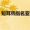 短耳鸮指名亚种（关于短耳鸮指名亚种介绍）