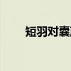 短羽对囊蕨（关于短羽对囊蕨介绍）