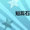 短蕊石蒜（关于短蕊石蒜介绍）