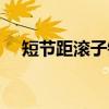 短节距滚子链(关于短节距滚子链介绍) 短节距滚子链(关于短节距滚子链介绍)