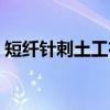 短纤针刺土工布（关于短纤针刺土工布介绍）