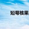 短萼核果茶（关于短萼核果茶介绍）