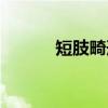 短肢畸形（关于短肢畸形介绍）