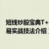 短线炒股宝典T+0交易实战技法（关于短线炒股宝典T+0交易实战技法介绍）