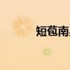 短苞南星（关于短苞南星介绍）