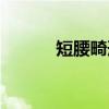短腰畸形（关于短腰畸形介绍）