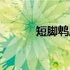 短脚鹎属（关于短脚鹎属介绍）