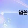 短芒稗（关于短芒稗介绍）