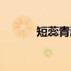 短蕊青藤（关于短蕊青藤介绍）