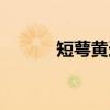 短萼黄连（关于短萼黄连介绍）