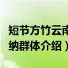短节方竹云南版纳群体(关于短节方竹云南版纳群体介绍) 短节方竹云南版纳群体(关于短节方竹云南版纳群体介绍)
