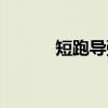 短跑导弹(关于短跑导弹介绍) 短跑导弹(关于短跑导弹介绍)