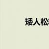 矮人松糕（关于矮人松糕介绍）