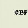 矮卫矛系（关于矮卫矛系介绍）