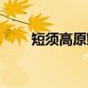 短须高原鳅（关于短须高原鳅介绍）
