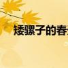 矮骡子的春天（关于矮骡子的春天介绍）