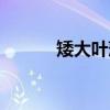 矮大叶藻（关于矮大叶藻介绍）
