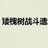 矮槐树战斗遗址（关于矮槐树战斗遗址介绍）